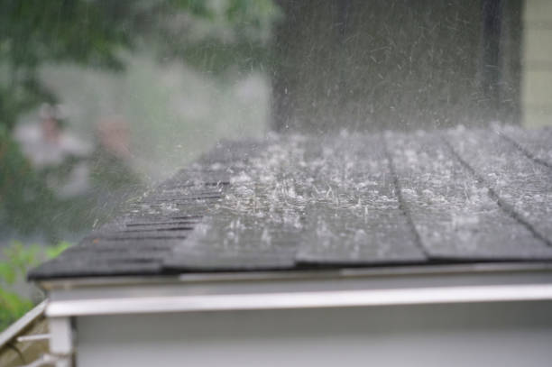 Best Roof Ventilation Installation  in Mayo, FL