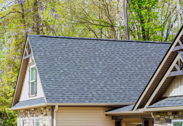 Best Gutter Installation and Repair  in Mayo, FL