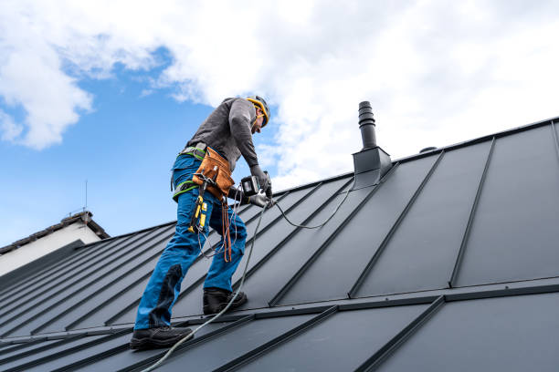 Best Steel Roofing  in Mayo, FL